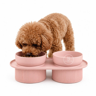 Comedero Doble Elevado Boden para Perros y Gatos | White Fox
