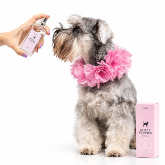 Perfume Paris para Perros y Gatos | Royal Puppies | White Fox