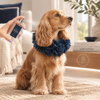 Perfume Milano para Perros y Gatos | Royal Puppies | White Fox