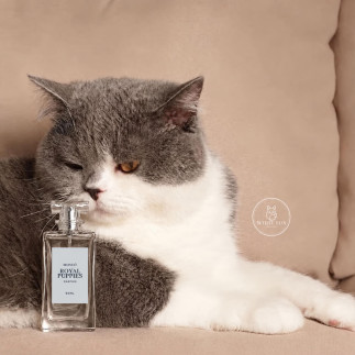 Perfume Moscú para Perros y Gatos | Royal Puppies | White Fox