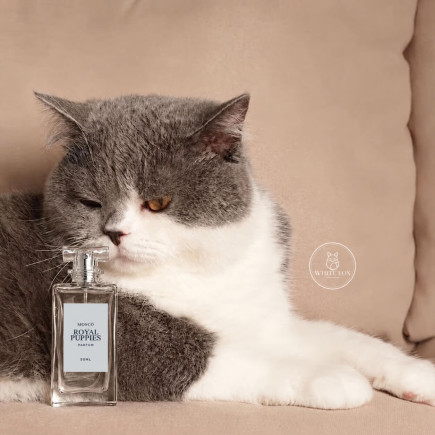 Perfume Moscú