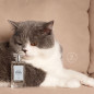 Perfume Moscú