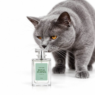 Perfume New York para Perros y Gatos | White Fox