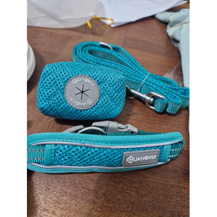Set de collar + correa + bolsita