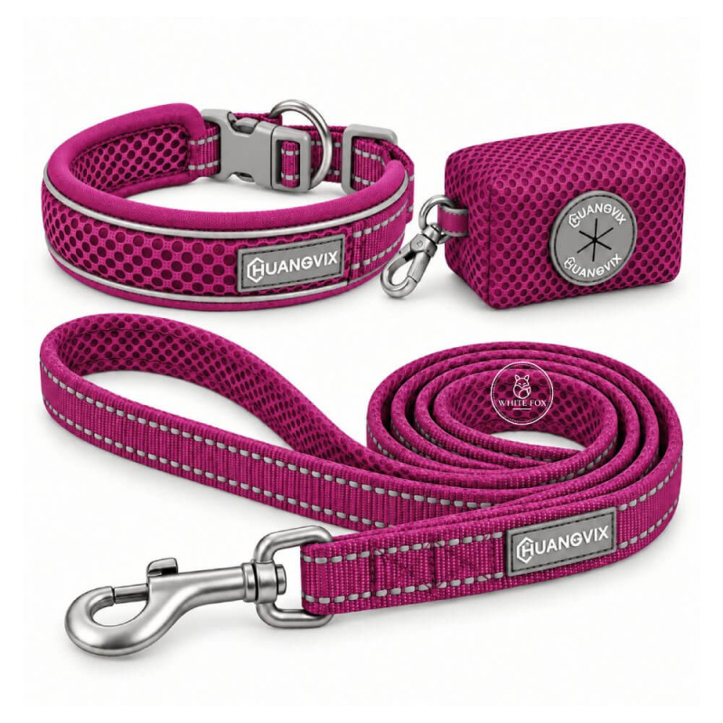 Set Yori: Collar + Correa + Porta Bolsitas Set Yori: Collar + Correa + Porta Bolsitas