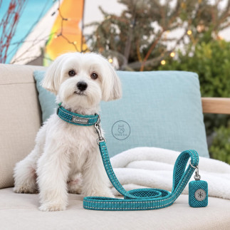 Set Yori Collar, Correa y Porta Bolsitas | White Fox