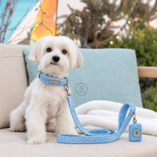 Set Yori Collar, Correa y Porta Bolsitas | White Fox