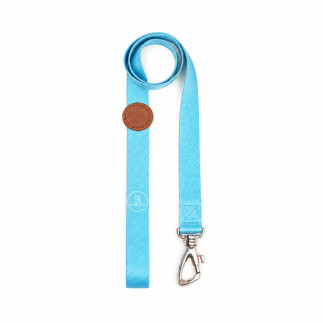 Set Dorian Pretal H + Correa para Perros | White Fox