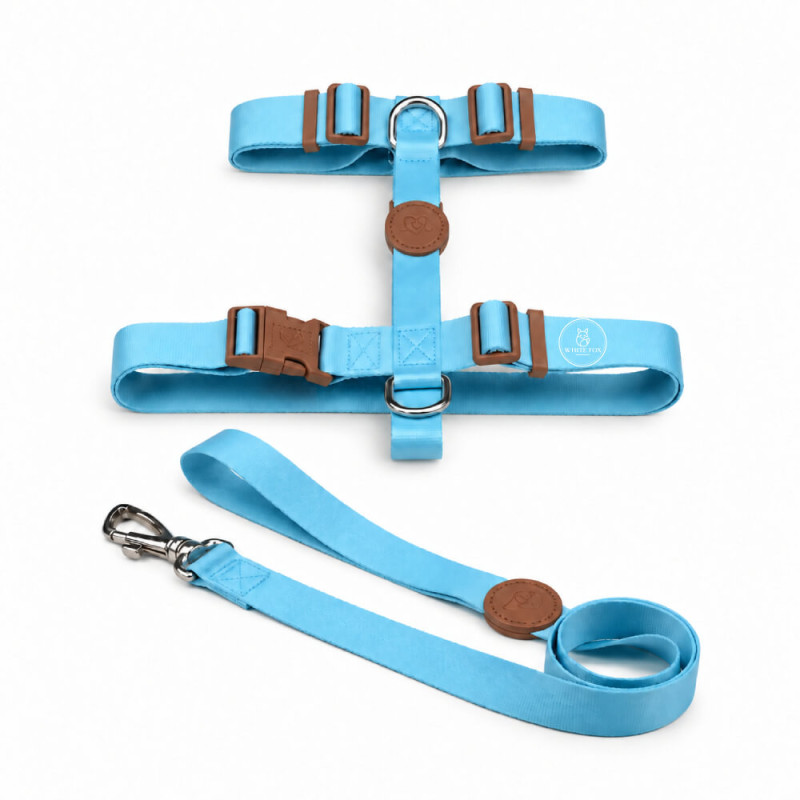 Set Dorian: Pretal H + Correa