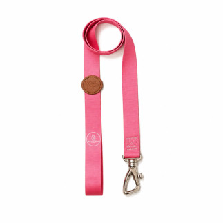 Set Dorian Pretal H + Correa para Perros | White Fox