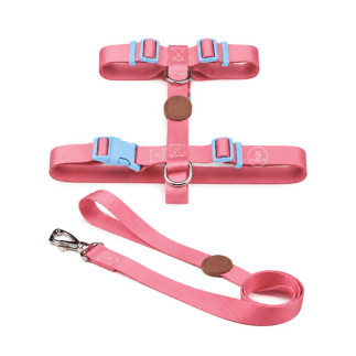 Set Dorian Pretal H + Correa para Perros | White Fox