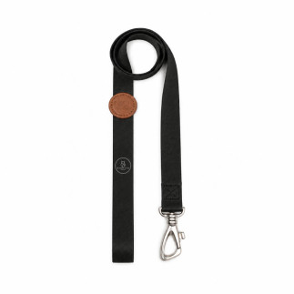 Set Dorian Pretal H + Correa para Perros | White Fox