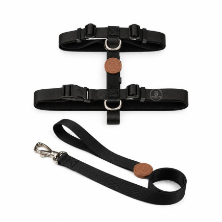 Set Dorian Pretal H + Correa para Perros | White Fox