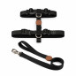 Set Dorian Pretal H + Correa para Perros | White Fox