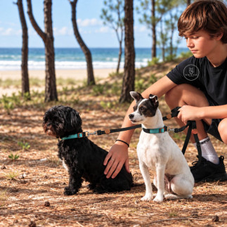 Correa Doble Tango para Perros y Gatos | White Fox