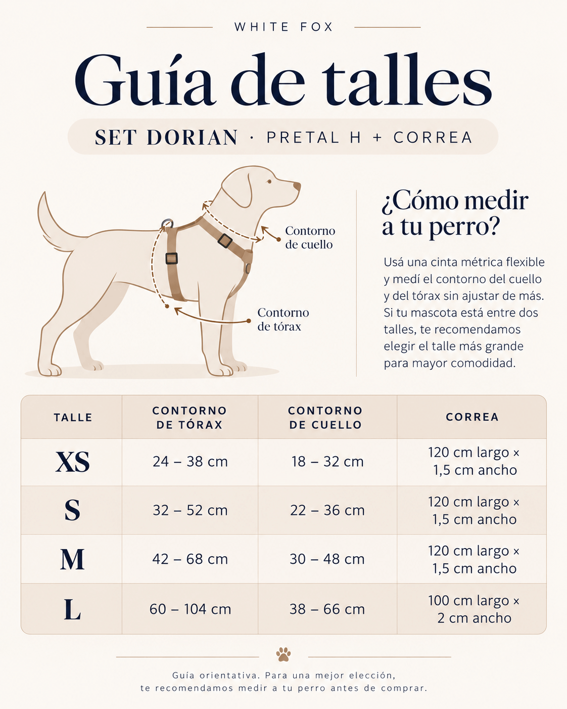 Guía de talles - Set Dorian